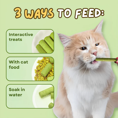 Cat Grass Teeth Grinding Stick - Pet Snacks Hairball Removal
