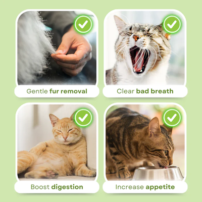 Cat Grass Teeth Grinding Stick - Pet Snacks Hairball Removal