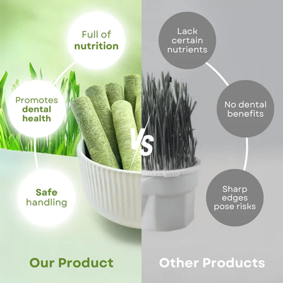 Cat Grass Teeth Grinding Stick - Pet Snacks Hairball Removal